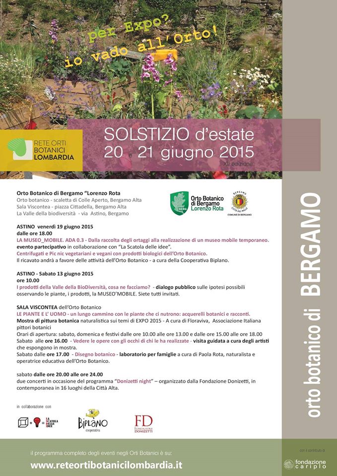 Festa del Solstizio d'Estate