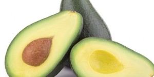 avocado 