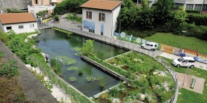 Biolago depurato dalle alghe grazie a un “biofiltro”