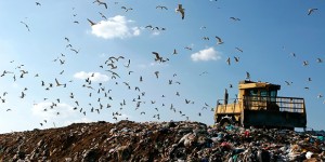 L’Italia e Europa contro l’abbandono dei rifiuti