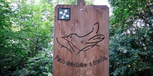 Il Parco delle Colline fa scuola