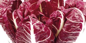 Il radicchio: la foglia del Nordest