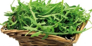 La rucola. Gusto speziato e profumo gradevole