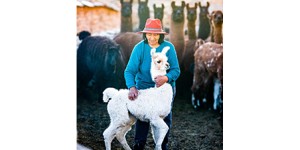 Argentina - economia locale