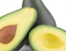 avocado 