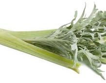 Cardo