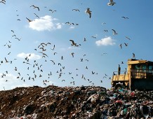 L’Italia e Europa contro l’abbandono dei rifiuti