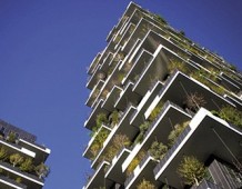 Milano bosco verticale