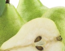 pere 