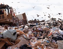 Lo spreco alimentare costa 15 miliardi di euro all'anno