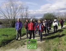 Trekking urbano a Mantova