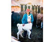 Argentina - economia locale