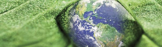 Sviluppo sostenibile ed ecologia integrale. Comunicare con efficacia le sfide del nostro secolo