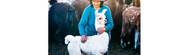 Argentina - economia locale