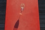 Sauvignon Blanc, le declinazioni di un nobile cosmopolita 