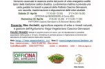 Tra erbe e dintorni Tra erbe e dintorni