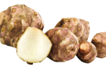 Il Topinambur