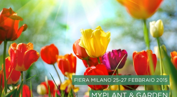 Fito benefit: terreni, aria, acque purificati dalle piante