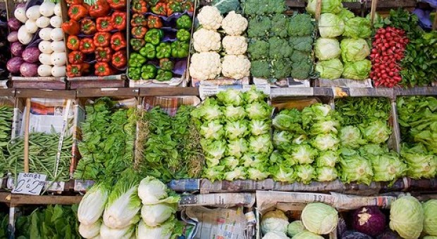 Alimenta - Filiera corta in città