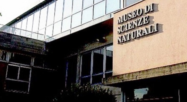 Scienza viva