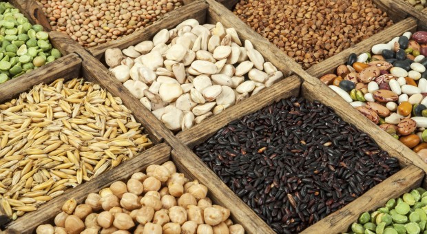 25° Compleanno di Un punto macrobiotico