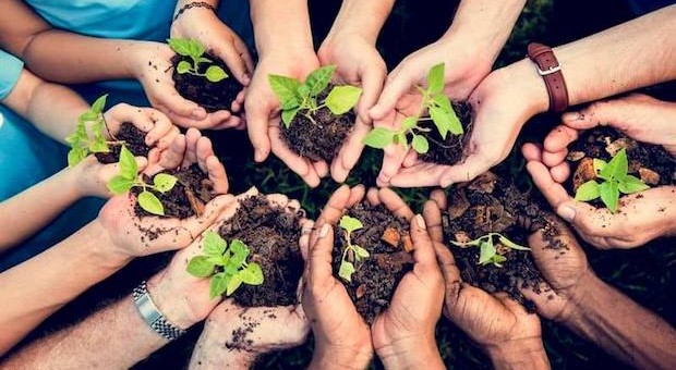 Agricoltura,cibo,economie locali:perche non sappiamo collegarli?