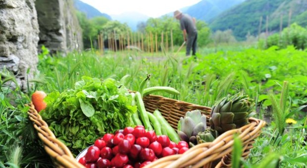 Alimenta - con la cultura si mangia