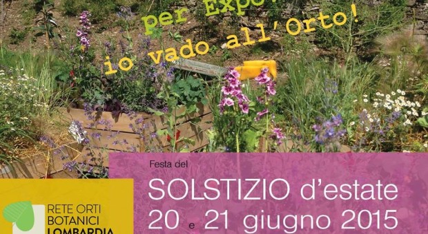 Festa del Solstizio d'Estate