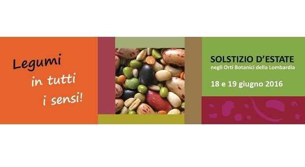 Solstizio d'estate