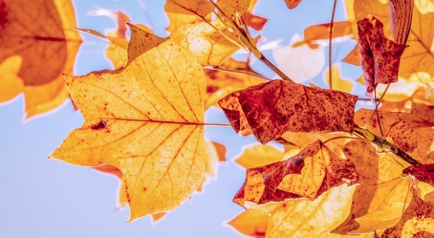 autunno