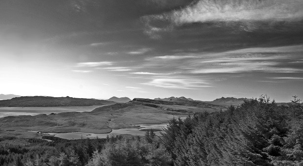 Landscapes in black and white