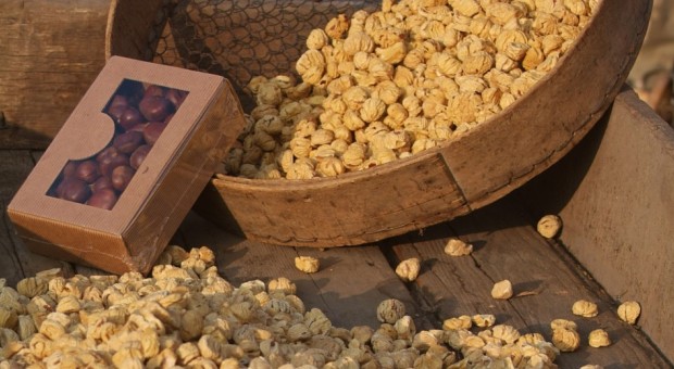 Sagra dei biligocc
