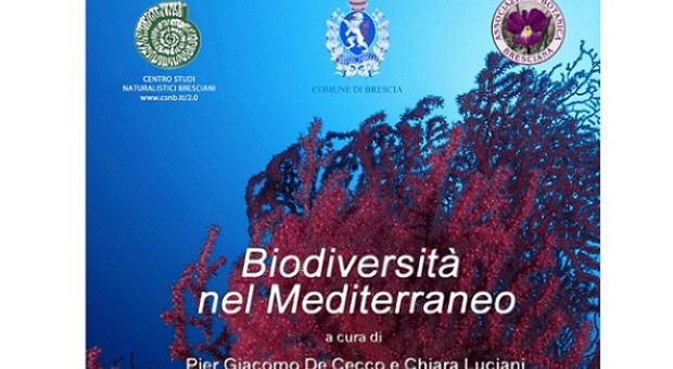 Biodiversità nel Mediterraneo
