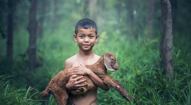 Being with animals