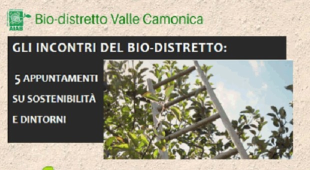 Sostenibilità Biodiversità e Dintorni in Valle Camonica