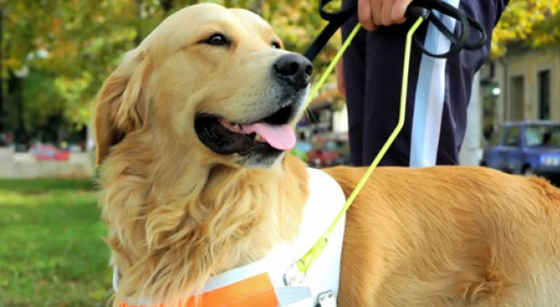 4° EDIZIONE DI CORRI DOG