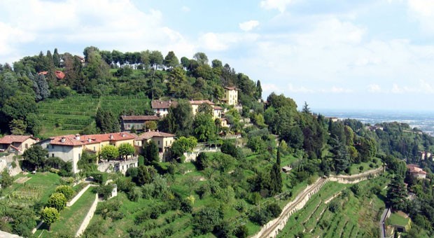 Cinture verdi