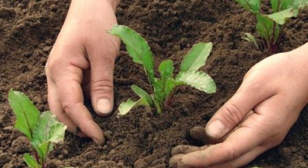 Divers-agricolture per nuove leve