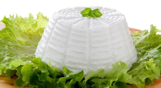 I formaggi vegetali (e non solo) fatti in casa 