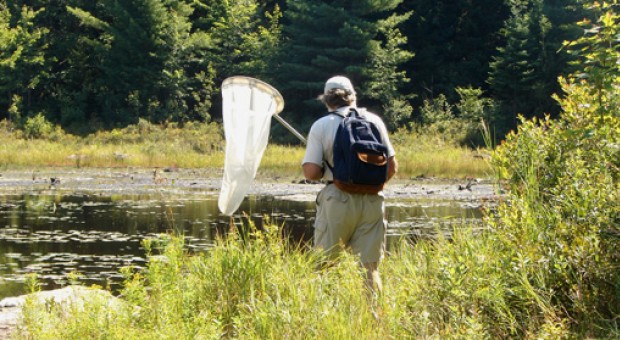 Natura e citizen science