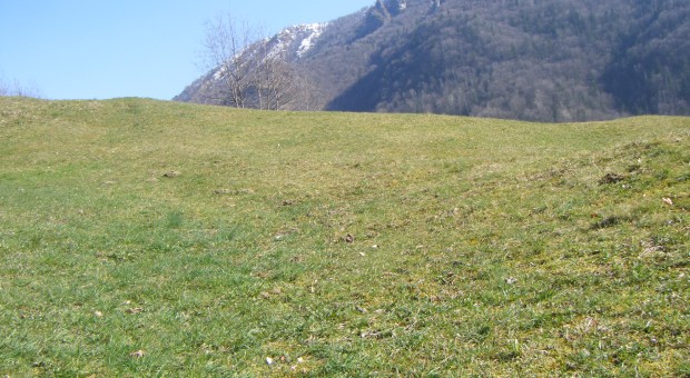 Riportiamo in vita l'antica mulattiera