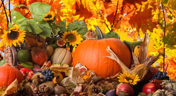Festa d'autunno