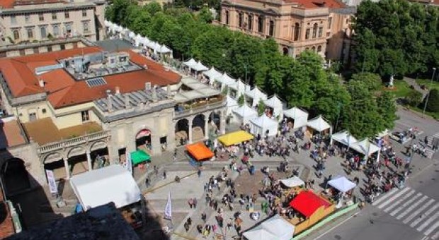Festival dell'ambiente