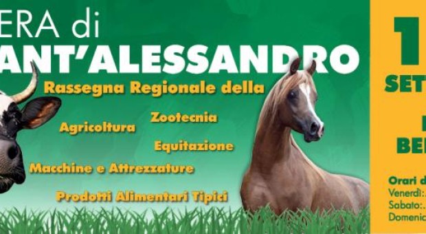 Fiera di Sant'Alessandro 2017