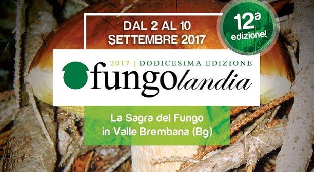 Fungolandia