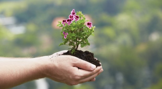 Giornata mondiale dell'Ambiente
