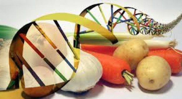 Conferenza sulla deriva di agricoltura transgenica, medicina e interessi delle multinazionali