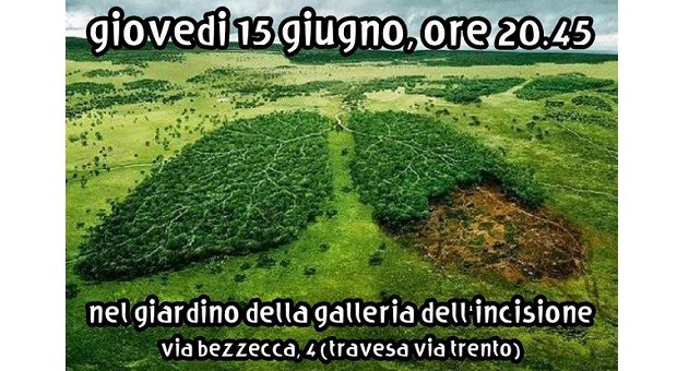 Amazzonia oggi 