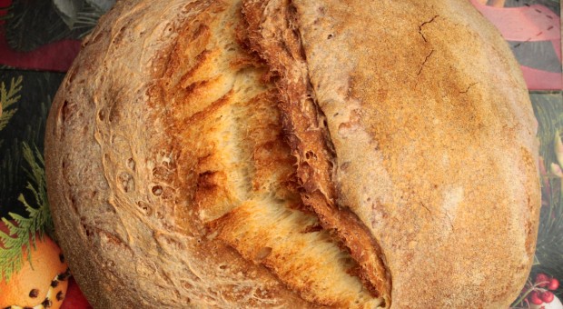 Il pane (e non solo) fatto in casa con la pasta madre