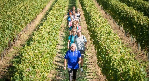 Festival Franciacorta in Cantina